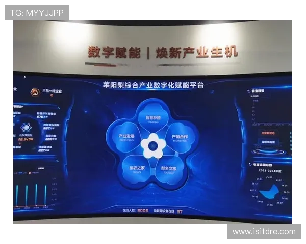 亚星管理平台cmd3：中大型企业数字化管理平台的实用策略与创新方案