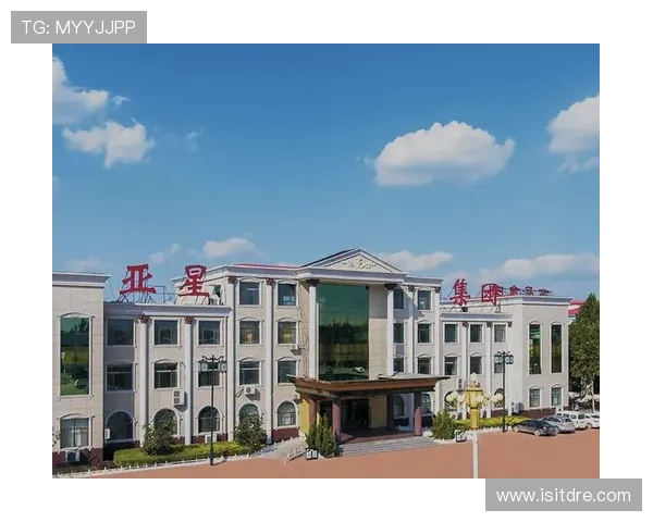 亚星控股集团的企业发展战略与未来布局分析