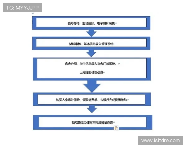亚星管理网平台登录入口最新指南帮助用户快速安全登录操作流程详解